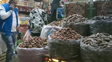 قائمة الأسعار الرسمية.. تكلفة شراء ياميش رمضان في الأسواق قبل حلول الشهر الكريم